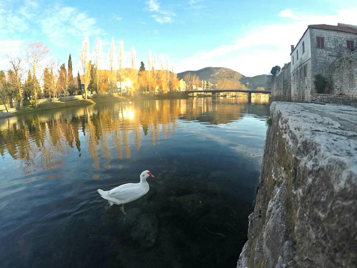 Appartement Stone House Trebinje Extérieur photo